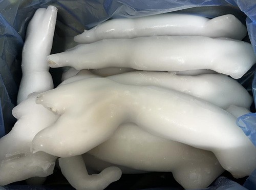 单冻阿根廷鱿鱼