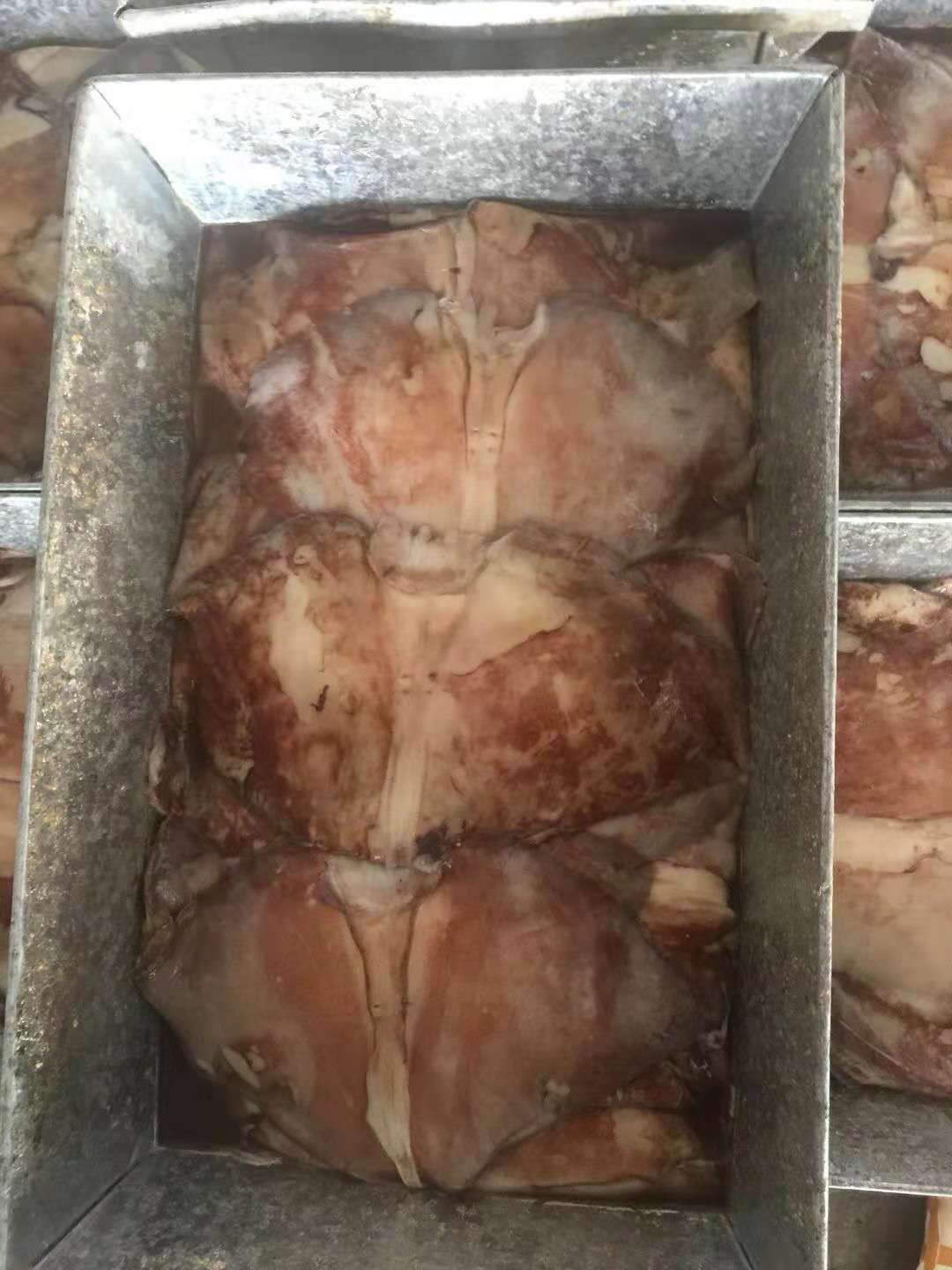 鱿鱼耳